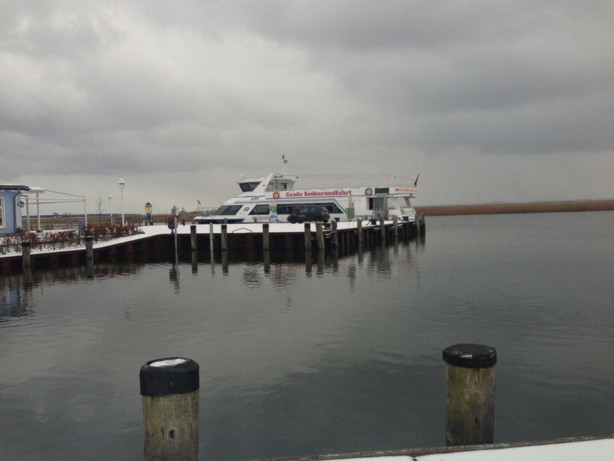 Fewo Am Alten Hafen - Zingst Ostseebad Exteriér fotografie