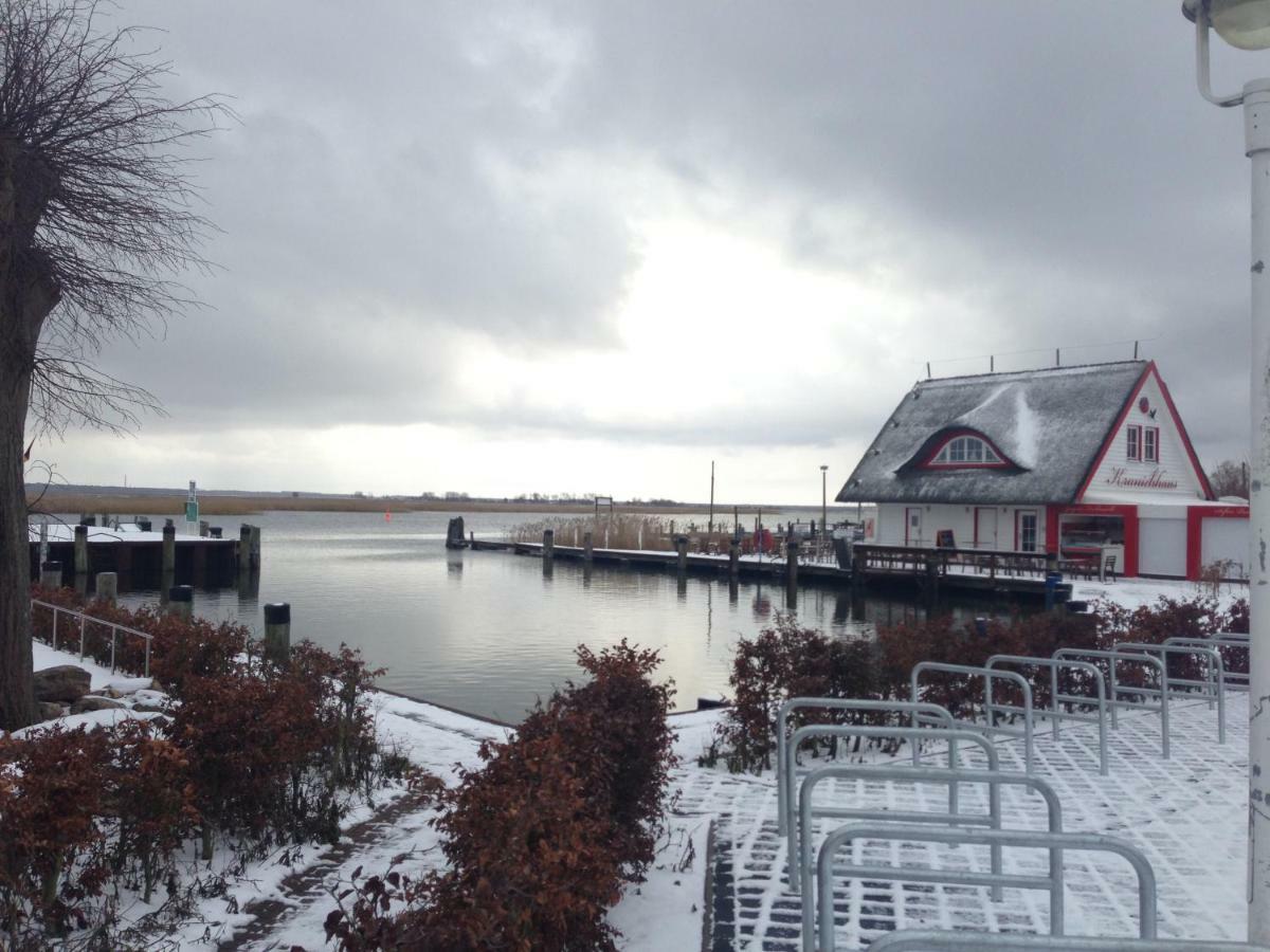 Fewo Am Alten Hafen - Zingst Ostseebad Exteriér fotografie